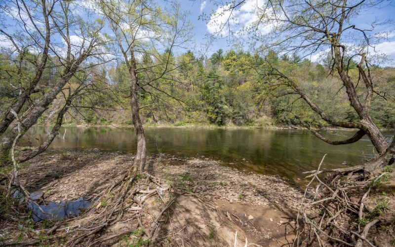 0 Route 1 (RR), Parsons, West Virginia 26287, ,Lots/land,For Sale,Route 1,10159313