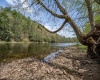 0 Route 1 (RR), Parsons, West Virginia 26287, ,Lots/land,For Sale,Route 1,10159313