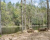 0 Route 1 (RR), Parsons, West Virginia 26287, ,Lots/land,For Sale,Route 1,10159313