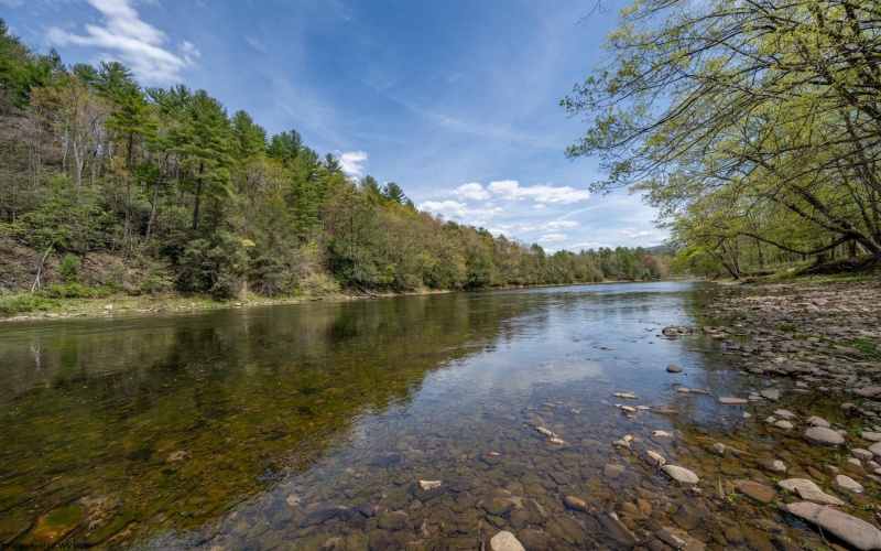 0 Route 1 (RR), Parsons, West Virginia 26287, ,Lots/land,For Sale,Route 1,10159313