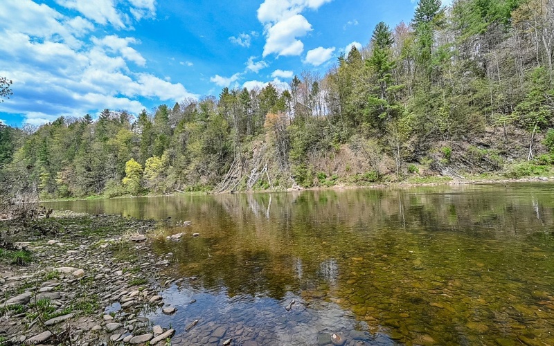 0 Route 1 (RR), Parsons, West Virginia 26287, ,Lots/land,For Sale,Route 1,10159313