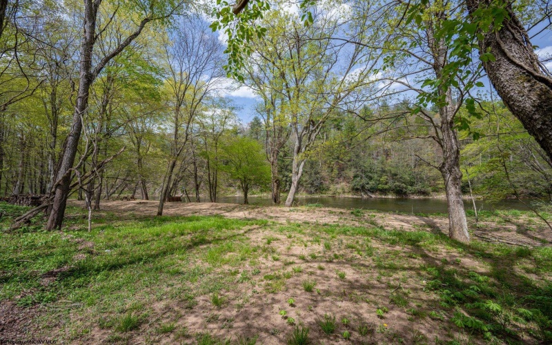 0 Route 1 (RR), Parsons, West Virginia 26287, ,Lots/land,For Sale,Route 1,10159313