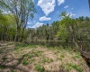 0 Route 1 (RR), Parsons, West Virginia 26287, ,Lots/land,For Sale,Route 1,10159313