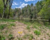 0 Route 1 (RR), Parsons, West Virginia 26287, ,Lots/land,For Sale,Route 1,10159313