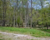 0 Route 1 (RR), Parsons, West Virginia 26287, ,Lots/land,For Sale,Route 1,10159313