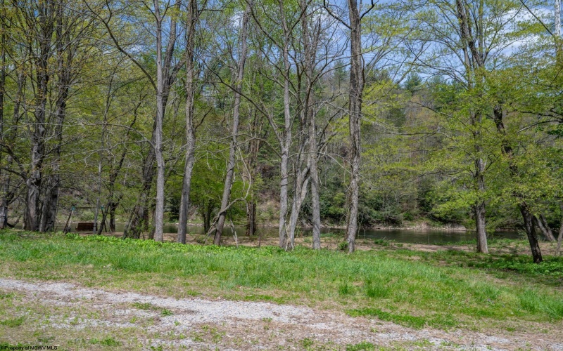 0 Route 1 (RR), Parsons, West Virginia 26287, ,Lots/land,For Sale,Route 1,10159313