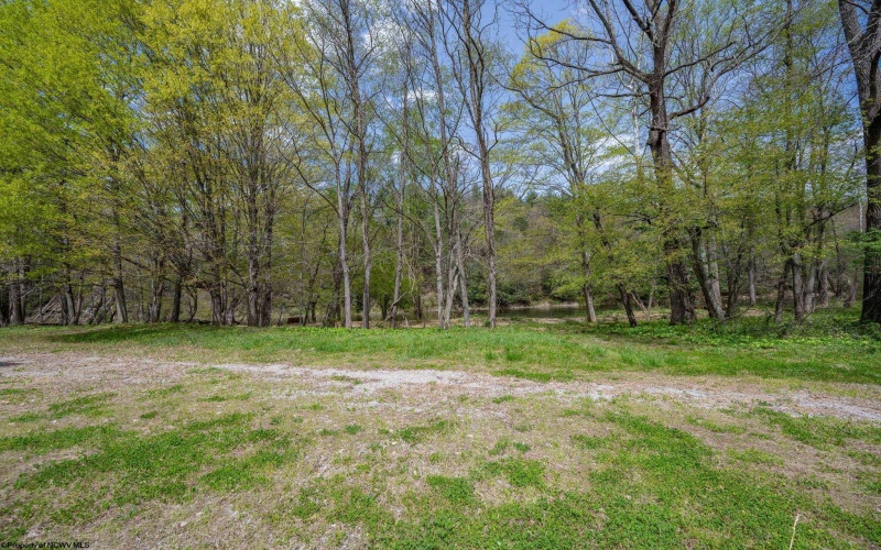 0 Route 1 (RR), Parsons, West Virginia 26287, ,Lots/land,For Sale,Route 1,10159313