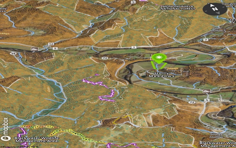 0 Route 1 (RR), Parsons, West Virginia 26287, ,Lots/land,For Sale,Route 1,10159313