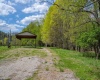 0 Route 1 (RR), Parsons, West Virginia 26287, ,Lots/land,For Sale,Route 1,10159313