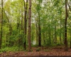 TBD Hinkle Lake Road, Bridgeport, West Virginia 26330, ,Lots/land,For Sale,Hinkle Lake,10159324