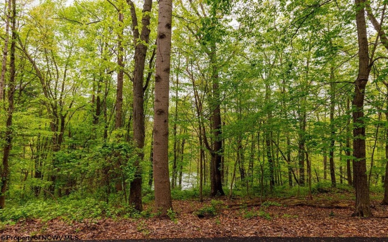 TBD Hinkle Lake Road, Bridgeport, West Virginia 26330, ,Lots/land,For Sale,Hinkle Lake,10159324