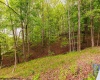 TBD Hinkle Lake Road, Bridgeport, West Virginia 26330, ,Lots/land,For Sale,Hinkle Lake,10159324