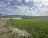 TBD Brandonville Pike, Bruceton Mills, West Virginia 26525, ,Lots/land,For Sale,Brandonville,10159327