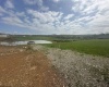 TBD Brandonville Pike, Bruceton Mills, West Virginia 26525, ,Lots/land,For Sale,Brandonville,10159327