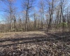 0 Wolf Pen Road, Crawford, West Virginia 26343, ,Lots/land,For Sale,Wolf Pen,10159337