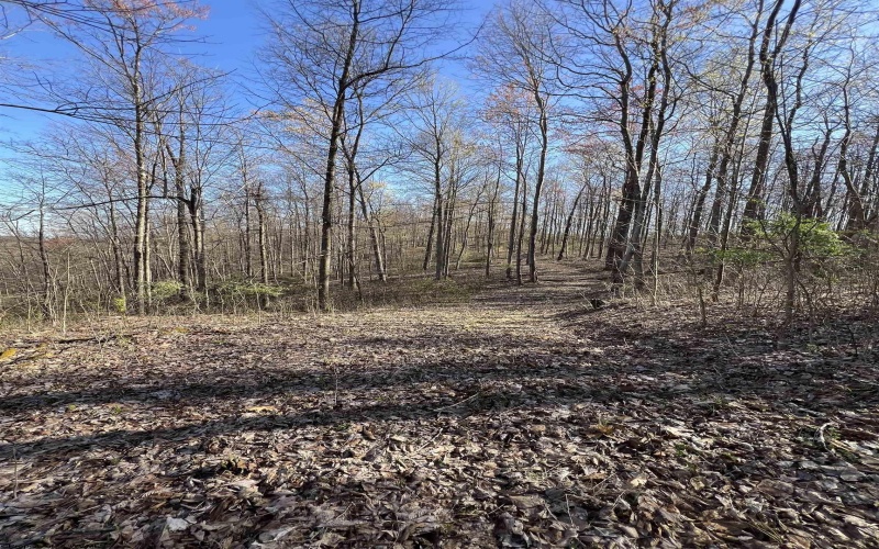 0 Wolf Pen Road, Crawford, West Virginia 26343, ,Lots/land,For Sale,Wolf Pen,10159337