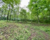 0 Green Valley Road, Bridgeport, West Virginia 26330, ,Lots/land,For Sale,Green Valley,10159339