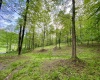 0 Green Valley Road, Bridgeport, West Virginia 26330, ,Lots/land,For Sale,Green Valley,10159339