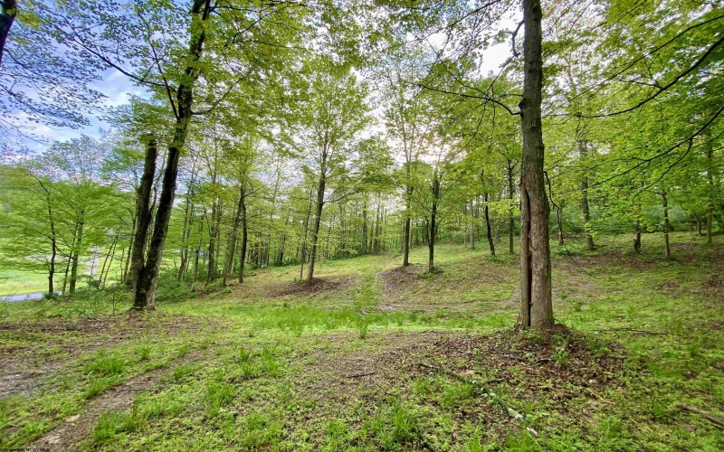 0 Green Valley Road, Bridgeport, West Virginia 26330, ,Lots/land,For Sale,Green Valley,10159339