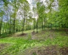 0 Green Valley Road, Bridgeport, West Virginia 26330, ,Lots/land,For Sale,Green Valley,10159339