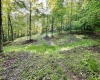 0 Green Valley Road, Bridgeport, West Virginia 26330, ,Lots/land,For Sale,Green Valley,10159339