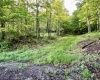 0 Green Valley Road, Bridgeport, West Virginia 26330, ,Lots/land,For Sale,Green Valley,10159339