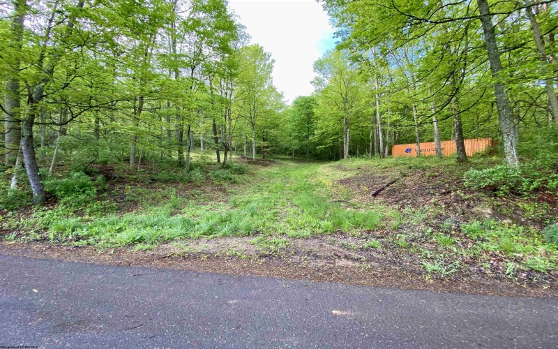 0 Green Valley Road, Bridgeport, West Virginia 26330, ,Lots/land,For Sale,Green Valley,10159339