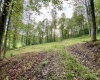 0 Green Valley Road, Bridgeport, West Virginia 26330, ,Lots/land,For Sale,Green Valley,10159339