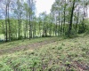 0 Green Valley Road, Bridgeport, West Virginia 26330, ,Lots/land,For Sale,Green Valley,10159339