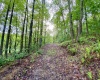 0 Green Valley Road, Bridgeport, West Virginia 26330, ,Lots/land,For Sale,Green Valley,10159339