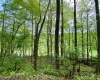 0 Green Valley Road, Bridgeport, West Virginia 26330, ,Lots/land,For Sale,Green Valley,10159339