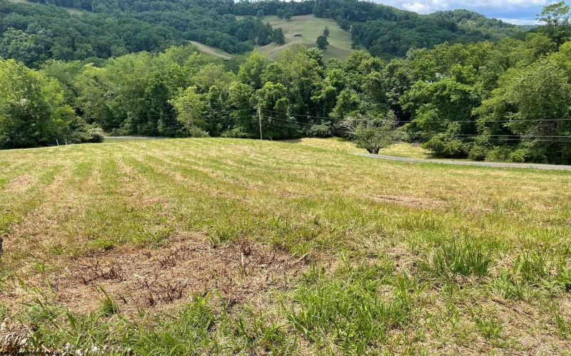 582 Simpson Run Road, Weston, West Virginia 26452, ,Lots/land,For Sale,Simpson Run,10159314