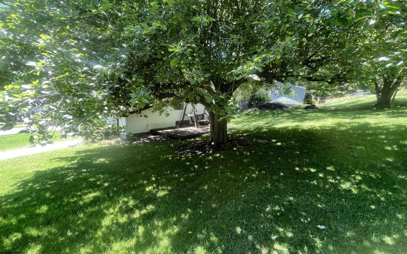 36 3rd Street, Durbin, West Virginia 26264, 4 Bedrooms Bedrooms, 9 Rooms Rooms,1 BathroomBathrooms,Single Family Detached,For Sale,3rd,10159388
