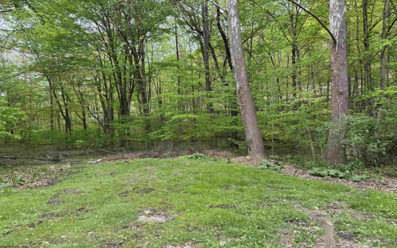 0 Barbour County Highway, Philippi, West Virginia 26416, ,Lots/land,For Sale,Barbour County,10159392