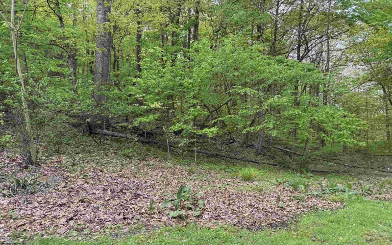 0 Barbour County Highway, Philippi, West Virginia 26416, ,Lots/land,For Sale,Barbour County,10159392