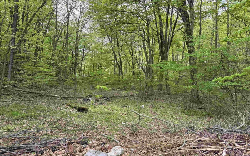 0 Barbour County Highway, Philippi, West Virginia 26416, ,Lots/land,For Sale,Barbour County,10159392