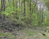 0 Barbour County Highway, Philippi, West Virginia 26416, ,Lots/land,For Sale,Barbour County,10159392