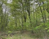 0 Barbour County Highway, Philippi, West Virginia 26416, ,Lots/land,For Sale,Barbour County,10159392