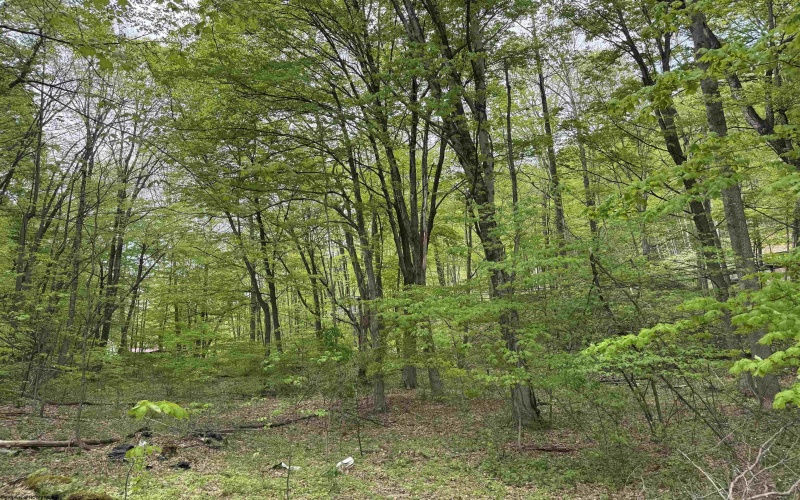 0 Barbour County Highway, Philippi, West Virginia 26416, ,Lots/land,For Sale,Barbour County,10159392