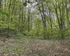 0 Barbour County Highway, Philippi, West Virginia 26416, ,Lots/land,For Sale,Barbour County,10159392