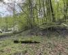 0 Barbour County Highway, Philippi, West Virginia 26416, ,Lots/land,For Sale,Barbour County,10159392