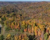 TBD Nutters Fork Road, West Union, West Virginia 26456, ,Lots/land,For Sale,Nutters Fork,10156948