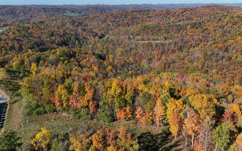 TBD Nutters Fork Road, West Union, West Virginia 26456, ,Lots/land,For Sale,Nutters Fork,10156948