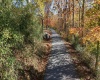 TBD Nutters Fork Road, West Union, West Virginia 26456, ,Lots/land,For Sale,Nutters Fork,10156948
