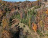 TBD Nutters Fork Road, West Union, West Virginia 26456, ,Lots/land,For Sale,Nutters Fork,10156948