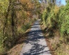 TBD Nutters Fork Road, West Union, West Virginia 26456, ,Lots/land,For Sale,Nutters Fork,10156948