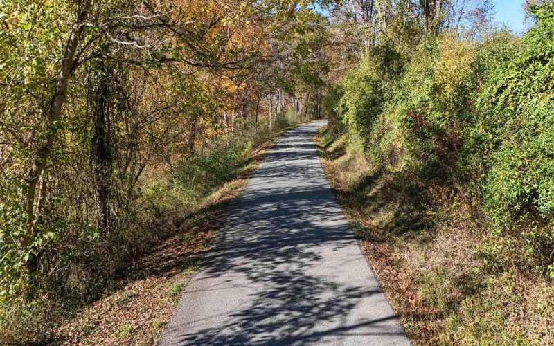 TBD Nutters Fork Road, West Union, West Virginia 26456, ,Lots/land,For Sale,Nutters Fork,10156948
