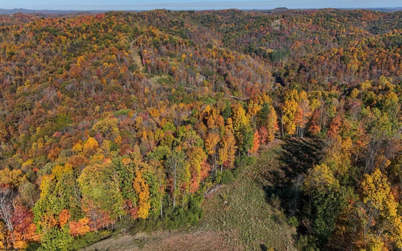 TBD Nutters Fork Road, West Union, West Virginia 26456, ,Lots/land,For Sale,Nutters Fork,10156948