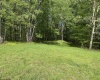 TBD McNair Road, Albright, West Virginia 26519, ,Lots/land,For Sale,McNair,10159374