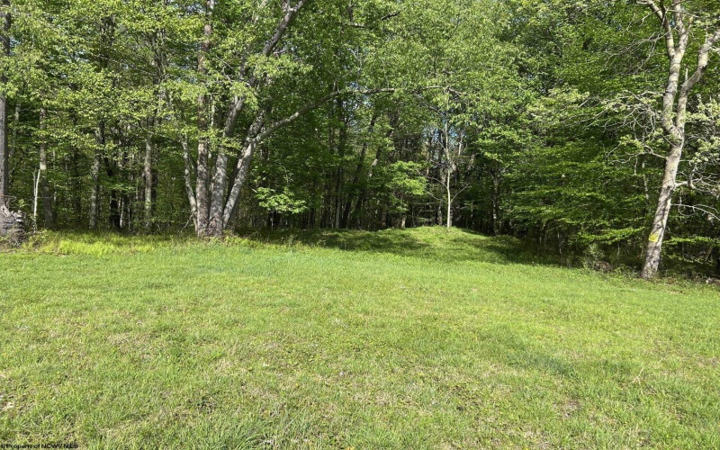 TBD McNair Road, Albright, West Virginia 26519, ,Lots/land,For Sale,McNair,10159374